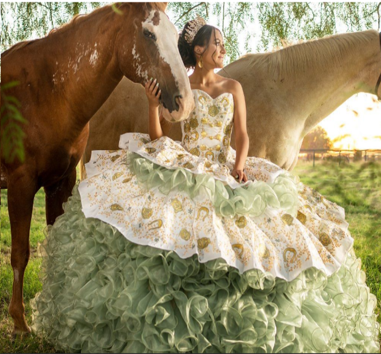 quinceanera dresses charro